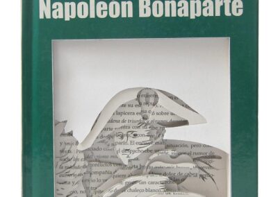 Literatura Visual: Fantasmas de la Historia