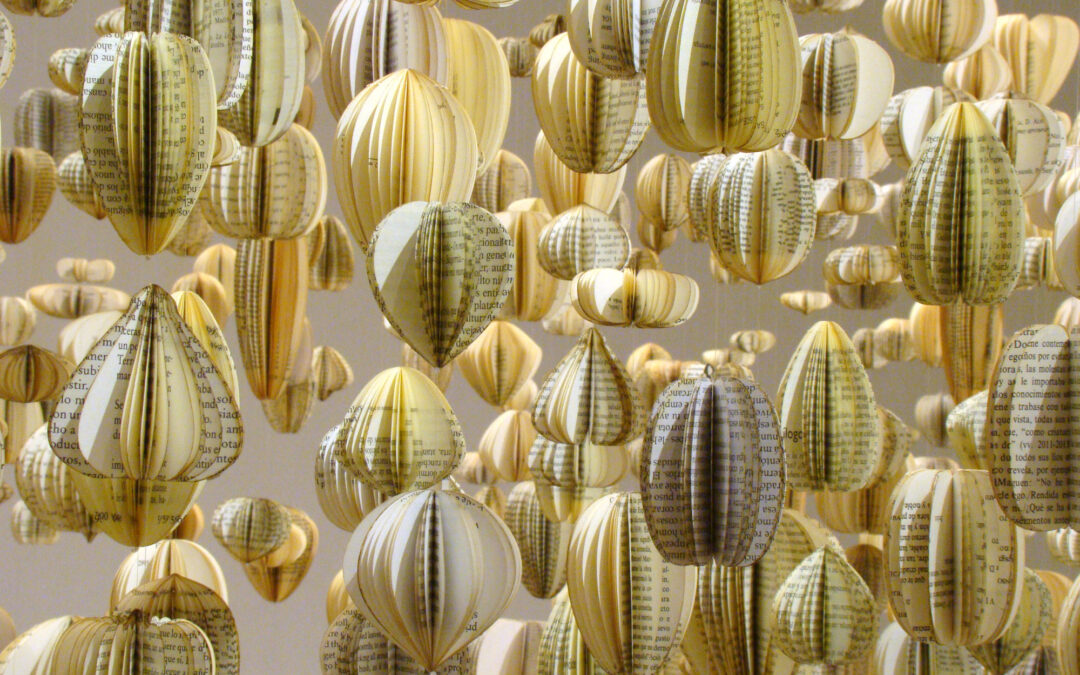 Semillas de libro: Instalación