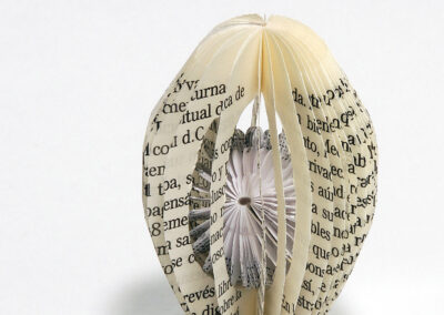 Semillas de libro: individuales