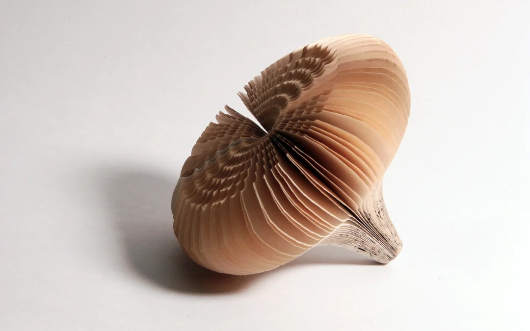 Semillas de libro: individuales