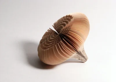 Semillas de libro: individuales